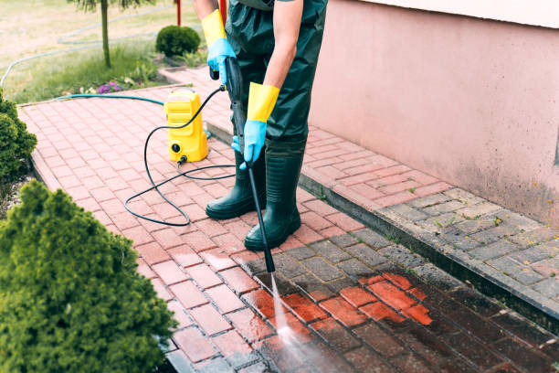 Best Deck Cleaning Services  in Harvest, AL